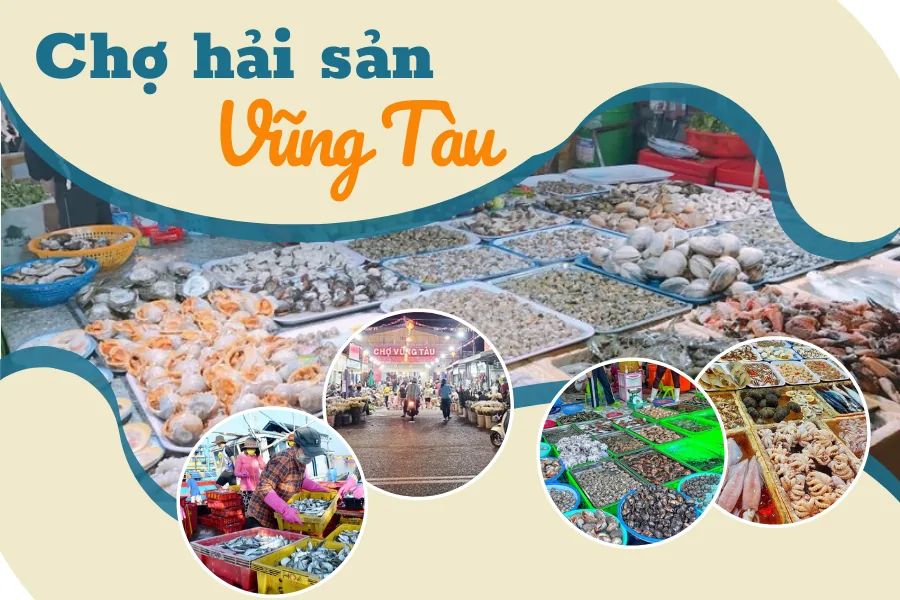 Thu&ecirc; Xe TPHCM Đi Vũng T&agrave;u 